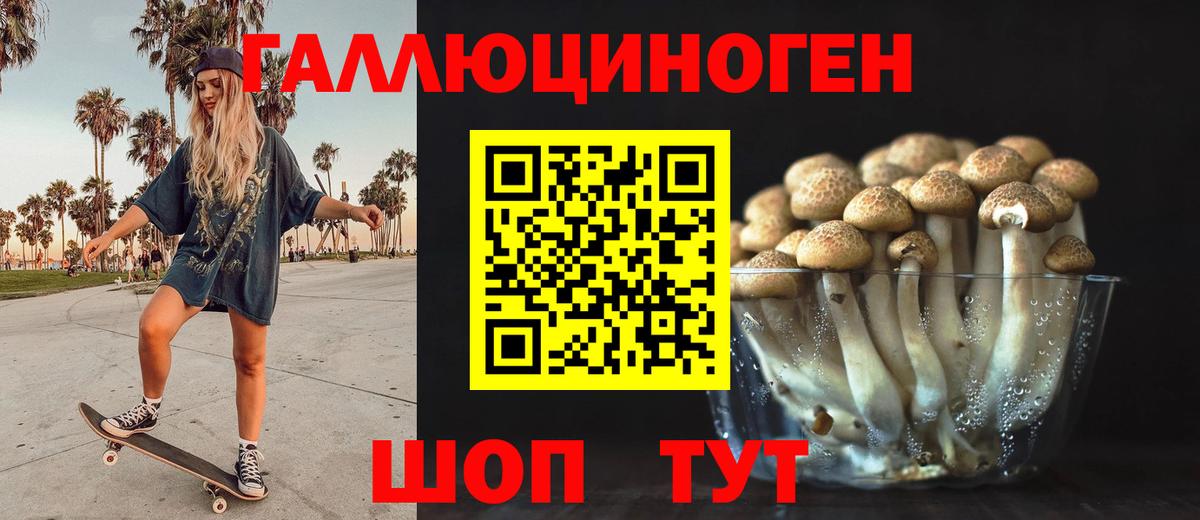 Галлюциногенные грибы Psilocybine cubensis  где купить наркоту  Галлюциногенные грибы MAGIC MUSHROOMS  Реутов  Вход с VPN 