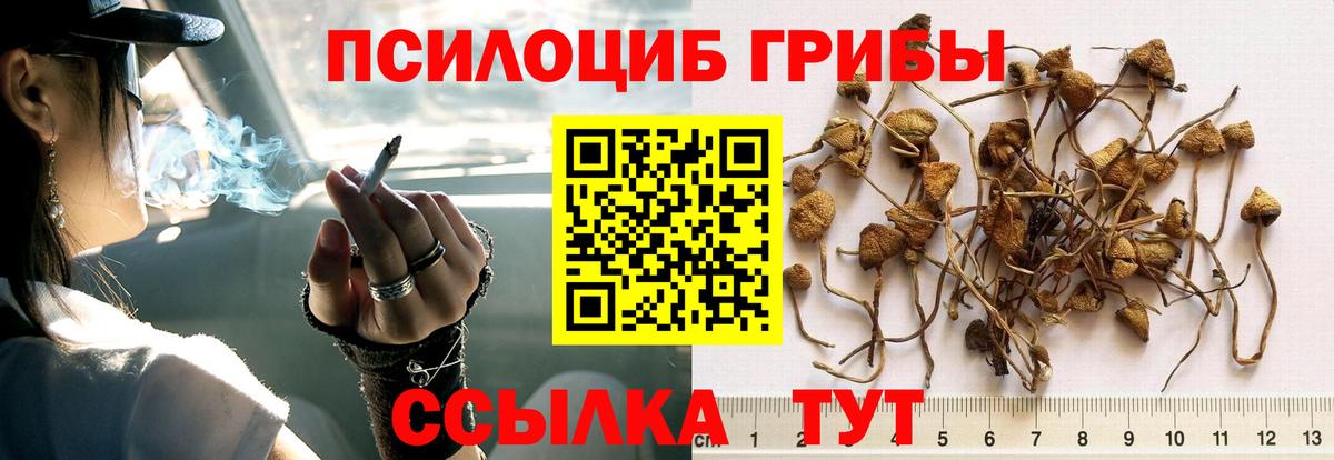 Галлюциногенные грибы прущие грибы Реутов